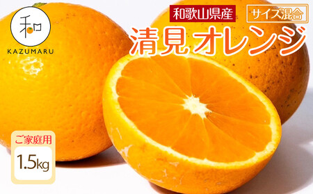 家庭用 森本農園の手選別 清見オレンジ1.5kg 和歌山県産 サイズ混合 [北海道・沖縄・離島配送不可][RN21][2026年2月上旬から5月中旬頃順次発送予定]