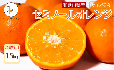 家庭用 森本農園の手選別 セミノールオレンジ 1.5kg 和歌山県産 サイズ混合 [北海道・沖縄・離島配送不可][RN26][2026年4月中旬から順次発送]