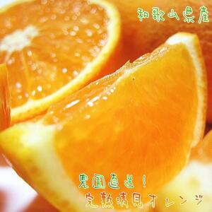 Lc炿 n  IWiƒpj7.5kgms\nmMS34n