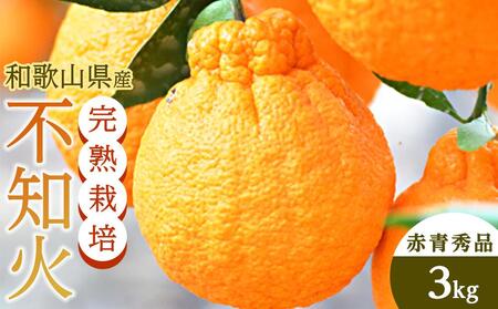 不知火(完熟栽培)樹上約300日 8玉〜12玉 約3kg 赤青秀品[和歌山 海南市 農園直送]