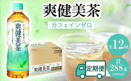 定期便 毎月 全12回 爽健美茶 600ml × 24本 １ケース 12ヶ月定期便