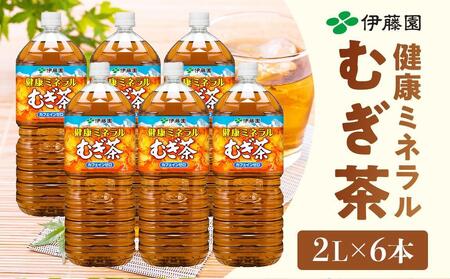 定期便 毎月 全3回 健康ミネラル麦茶 2L×6本 1ケース 3ヶ月定期便
