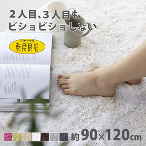 乾度良好 Dナチュレ バスマット 約90×120cm ホワイト 吸水速乾 裏面すべり止め加工 抗菌防臭 洗える 足拭きマット