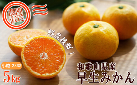 早生みかん 約5kg 小粒2S・3S混合 [ご家庭用] 和歌山県産 農園直送 まごころ産直みかん [北海道・沖縄県・一部離島 配送不可] ちょっと 訳あり 希少 小粒みかん SSサイズ 小玉 わけあり 訳アリ