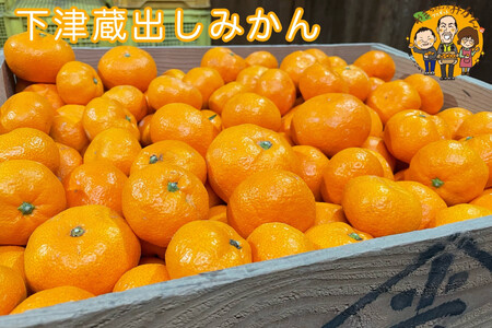 下津蔵出しみかん 約5kg S～Lサイズいずれか 山下農園
