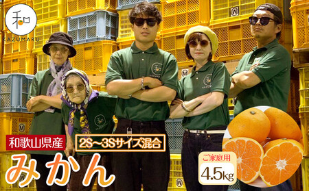 ƒp X{_̎I ݂ 4.5kg a̎RY 2SE3STCY mkCEEzsnm2025N11{珇nmRN60n