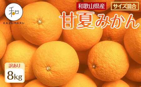 󂠂 X{_̎I ÉĂ݂ 8kg a̎RY TCY mkCEEzsnm2026N4{珇nmRN75n