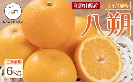 ƒp X{_̎I  6kg a̎RY TCY mkCEEzsnm2026N1{2{\nmRN115n