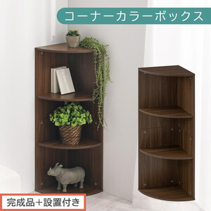 [完成品+設置付き]コーナーカラーボックス(ウォールナット)カラーボックス コーナー 幅30cm 本棚 3段 飾り棚 収納棚 スリム 縦置き 横置き A4サイズ オープンラック 木製 ラック リビング 玄関 高さ90cm/奥行30cm AKONBR920137-0-WAL