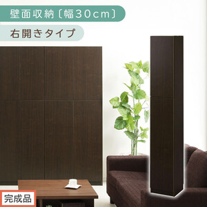 [完成品でお届け]壁面収納〔幅30cm・本体・右開きタイプ〕(ダークブラウン)壁面収納 本棚 扉付き 収納 棚 cdラック dvdラック 収納棚 リビング オフィス 扉付き収納 整理棚 書棚 おしゃれ LKANCB310300-R-DBR