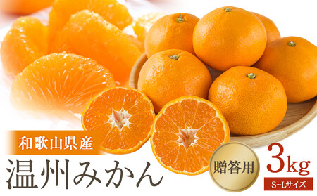 ms\n B݂ 3kg S~LTCY m2025N11{珇\n