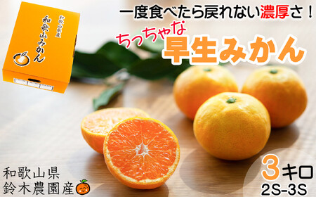 早生みかん 約3kg 希少な小粒 2S〜3S サイズ 混合 11月中旬〜12月下旬頃に鈴木みかん農園より農園直送 3Sサイズ 2S SS 小玉 小さい※北海道・沖縄・離島への配送不可 ミカン 蜜柑 mikan 温州みかん 温州ミカン