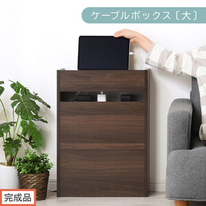 [完成品でお届け]ルーター収納ボックス〔大〕(ウォールナット)ケーブルボックス スリム 大サイズ ケーブル収納 コードケース タップ タップ ルーターボックス コード LKANET300256-0-WAL