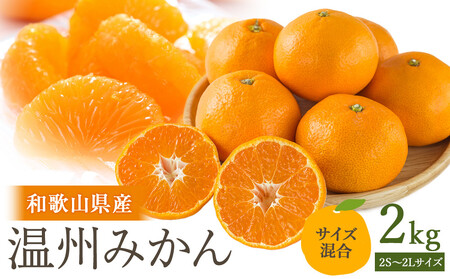[先行予約]訳あり 温州みかん 約2kg 2S〜2Lサイズ混合[2025年11月上旬頃から順次発送予定]