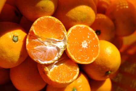 ms\nm󂠂no݂iӐ݂jS?LTCY 10kg{500giݕ⏞jm2026N1{蔭n