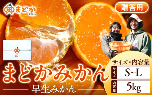 ［先行予約］［贈答用］秋採れみかん（早生みかん）S〜Lサイズ混合 5kg＋300g（傷み補償分）［2026年11月上旬より発送］