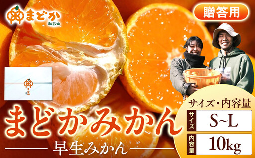 ［先行予約］［贈答用］秋採れみかん（早生みかん）S〜Lサイズ混合 10kg＋500g（傷み補償分）［2026年11月上旬より発送］