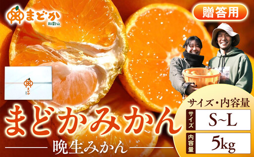 ［先行予約］［贈答用］蔵出しみかん（晩生みかん）S〜Lサイズ混合 5kg＋300g（傷み補償分）［2027年1月上旬より発送］