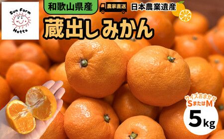 a̎RY Ño݂ ƒp 5kg (TCY܂S܂M̂ꂩ) _ƒ I