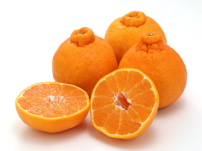 贈答用 森本農園の手選別 不知火 約4.5kg 和歌山県産  2L～3Lサイズ［北海道・沖縄・離島配送不可］［RN133］