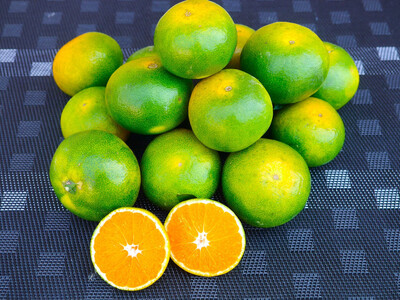 ※先行予約・2026年9月下旬発送開始予定※ 和歌山産 極早生みかん 5kg 3S〜Sサイズおまかせ [YN-26]橋詰農園