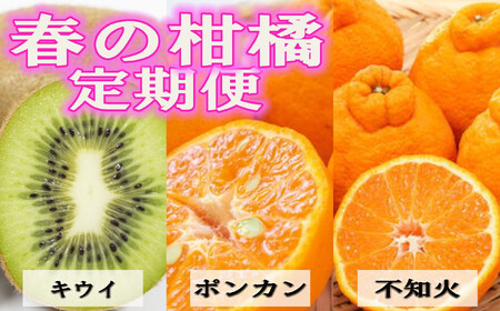 [定期便全3回 固定月] 和歌山の人気の春のフルーツをお届け! (キウイ・ポンカン・不知火) [TM257]
