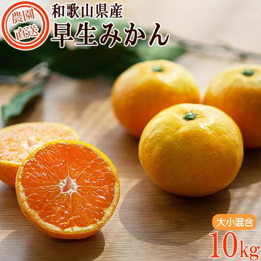 早生みかん 約10kg 大小混合サイズ 《ご家庭用》 ちょっと訳あり 和歌山県産 農園直送 まごころ産直みかん 【北海道・沖縄県・一部離島 配送不可】混合サイズ ミカン 蜜柑 温州みかん わけあり 訳アリ［Mg12］