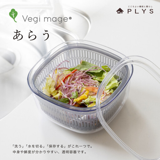 【グレー】ベジマジあらう 21cm 野菜保存容器 ボウル ザル セット フタ付き 透明