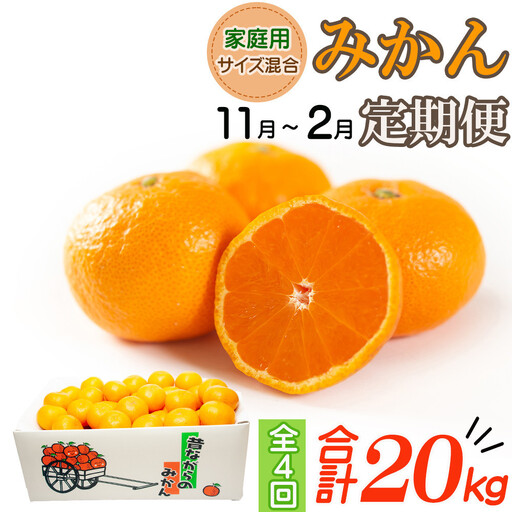 ［定期便］昔ながらのみかん 5kg 4回定期便 ご家庭用  蔵出しみかん  早生みかん