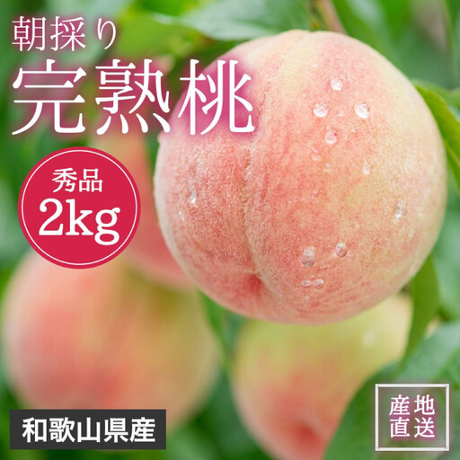 贈答用 森本農園の手選別 桃 2kg