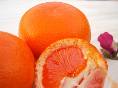 ���܂ݍۗ��� ���Ε�݂��� �T�C�Y����_5kg