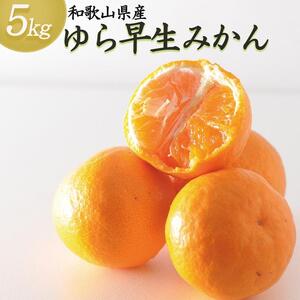 ゆら早生みかん 約5kg SS・S・Mサイズおまかせ 《赤秀》 和歌山県産 農園直送 まごころ産直みかん【北海道・沖縄県・一部離島 配送不可】果物 柑橘 由良早生 贈答 味が濃い 極早生みかん