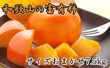 [甘柿の王様]和歌山産富有柿 約7.5kg サイズおまかせ★2024年11月上旬頃より順次発送[TM5]