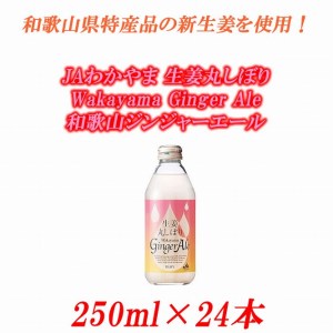 生姜 丸 ドリンクの人気商品 通販 価格比較 価格 Com