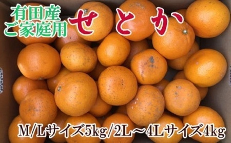 (訳あり・ご家庭用)一度は食べていただきたい「有田産のせとか」約4kg～5kg★2026年２月中旬頃より順次発送［TM210］