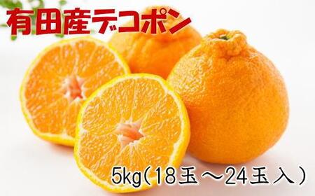 mZnIBLcỸfR|5kg(18ʁ`24ʓEGȏ)2026N2{菇mTM26n