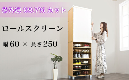 ロールスクリーン（60×250）byt1013353