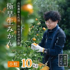 極早生 or 早生みかん約10kg 小粒SS・Sサイズおまかせ[秀品] 和歌山県産 山新農園 農園直送 まごころ産直みかん[北海道・沖縄県・一部離島 配送不可] SSサイズ 2S 小玉 蜜柑 果物