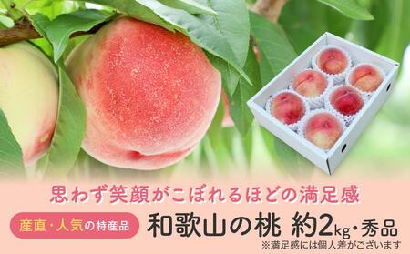 [産直・人気の特産品]和歌山の桃 約2kg・秀選品★2025年6月下旬〜8月上旬頃順次発送★[TM167]