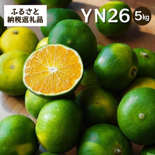 YN26　5kg家庭用｜和歌山で生まれた極早生みかんの新品種【2026年9月発送開始】