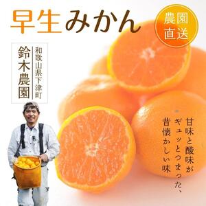 温州みかん 3kg S・M・Lサイズのいずれか[和歌山のみかん]11月〜1月に和歌山鈴木農園より農園直送 温州ミカン 温州 下津みかん しもつみかん ミカン 蜜柑 mikan Sサイズ Mサイズ