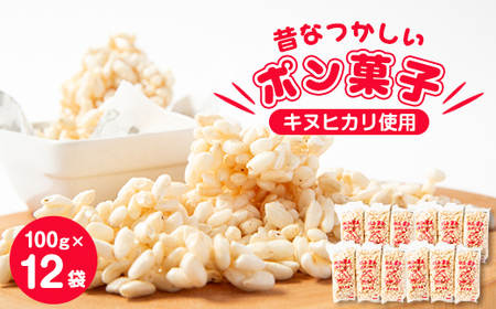 ̂Ȃ@|َq(100g×12)_َqEXC[c aَq  _y1143588z
