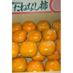 [柿 2026年秋配送]平種無柿(家庭用) 約7.5kg(M〜Lサイズ)32個〜38個入り_果物・フルーツ 柿(カキ) かき_