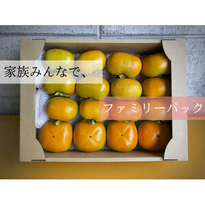 キタヤマ果樹園のたねなし柿 ファミリーパック(家庭用)15〜20個入り(L〜3L)_果物・フルーツ 柿(カキ) かき_
