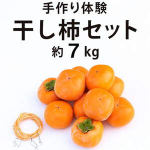 柳フルーツ園の干し柿セット 約7kg_果物・フルーツ 柿（カキ）  かき_【1457277】