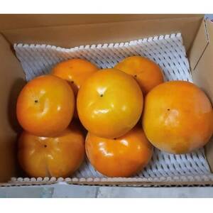 柳フルーツ園の富有柿 約2kg
