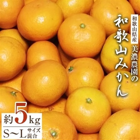 和歌山県産　美濃農園の和歌山みかん　約5kg_果物・フルーツ みかん  ミカン 蜜柑_【1274028】