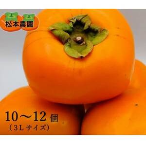 [先行受付 2026年秋順次発送]秋の味覚のたねなし柿(3Lサイズ 10〜12個)_果物・フルーツ 柿(カキ) かき_