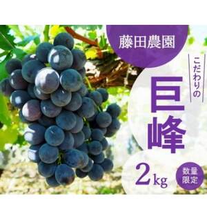 【先行予約:2025年夏発送ぶどう】　藤田農園　こだわりの巨峰 約2kg【配送不可地域：離島・北海道・沖縄県】【1491521】