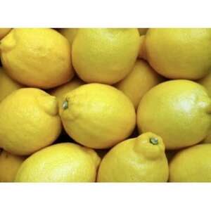 y󂠂zAgeBXt@[̍Y 2kg+200g (11菇\)_ʕEt[c  k _y1517847z